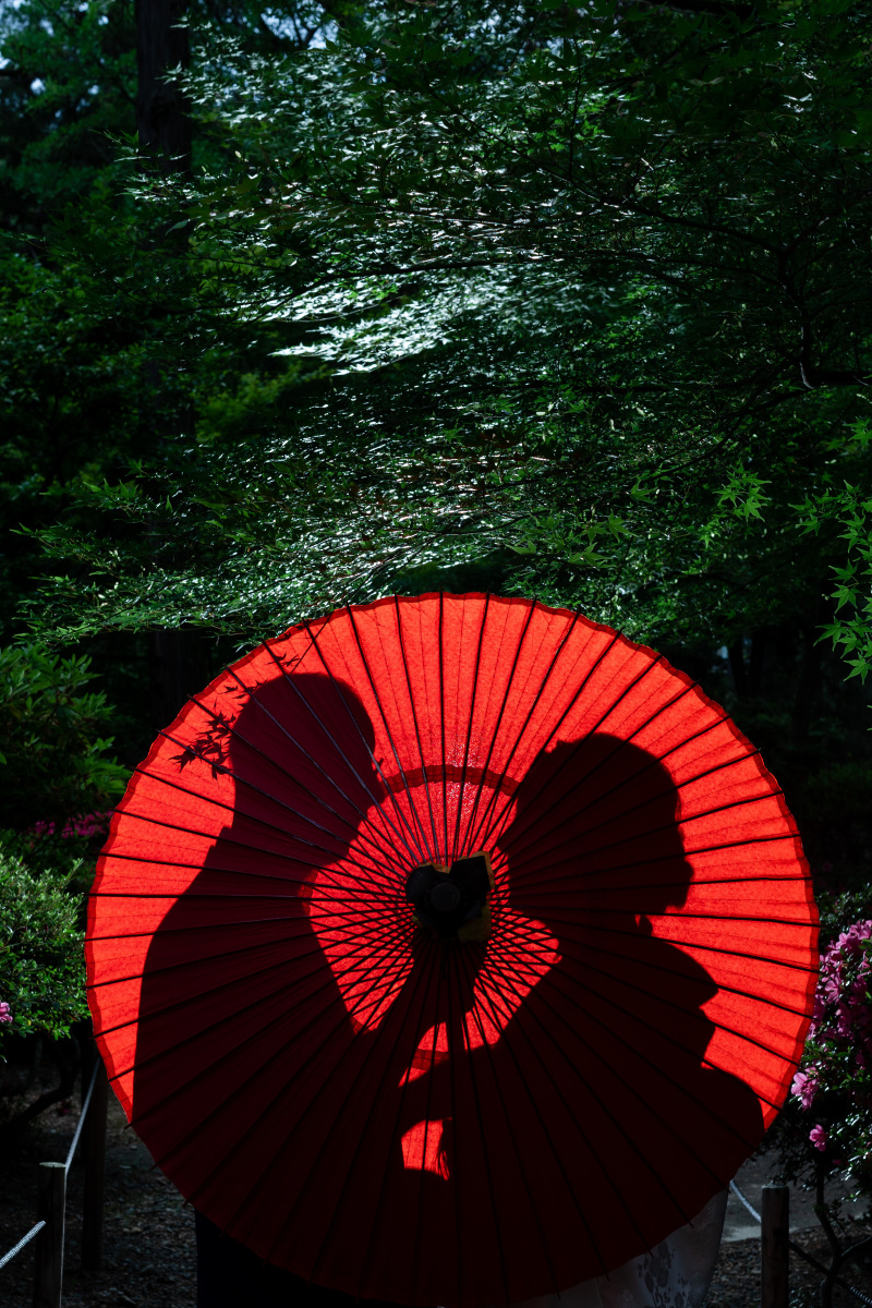 クールな写真も