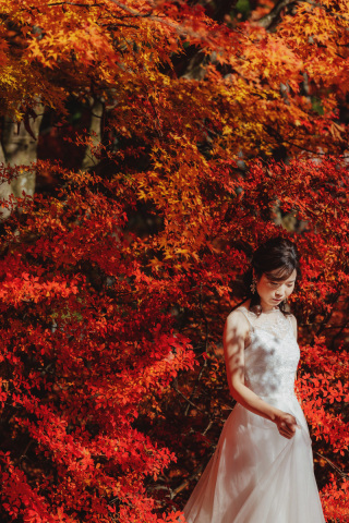 11月　秋深まる長野