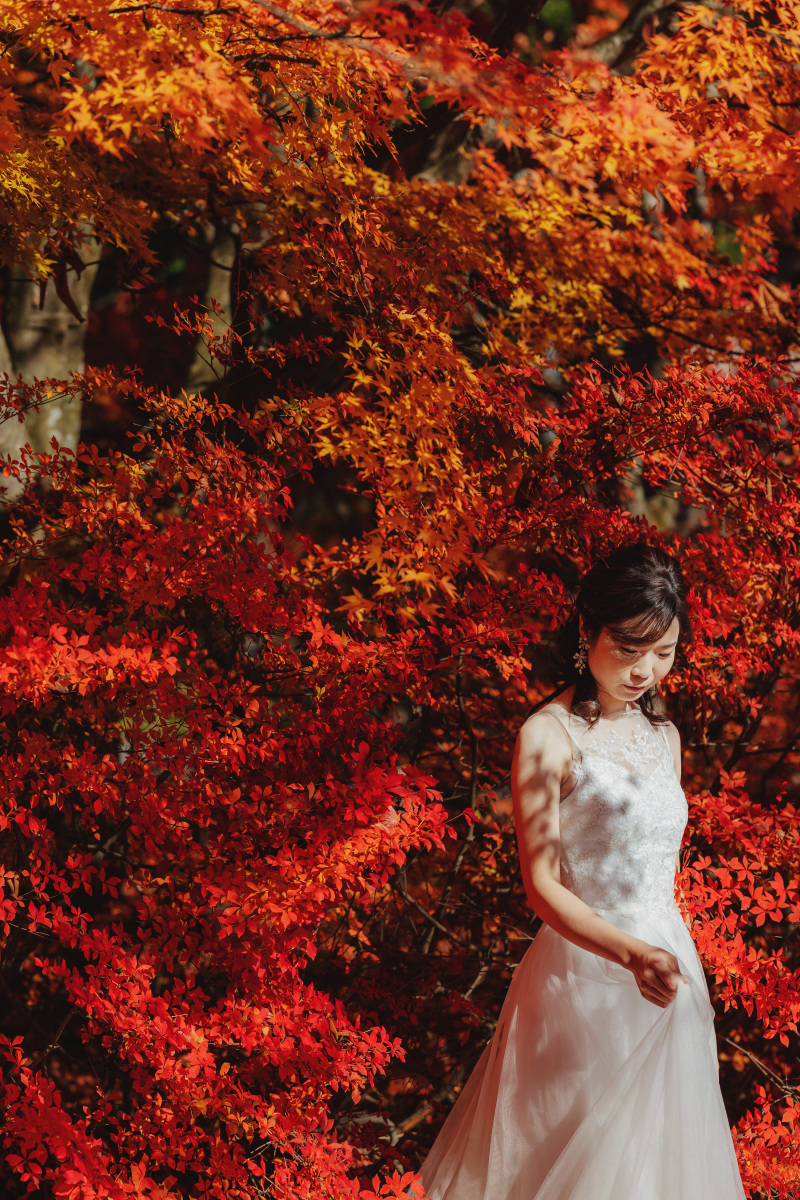 11月 秋深まる長野