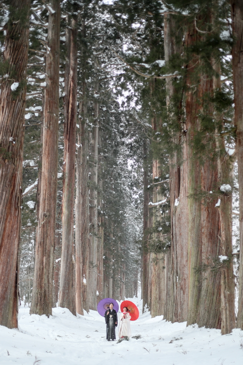 戸隠神社杉並木