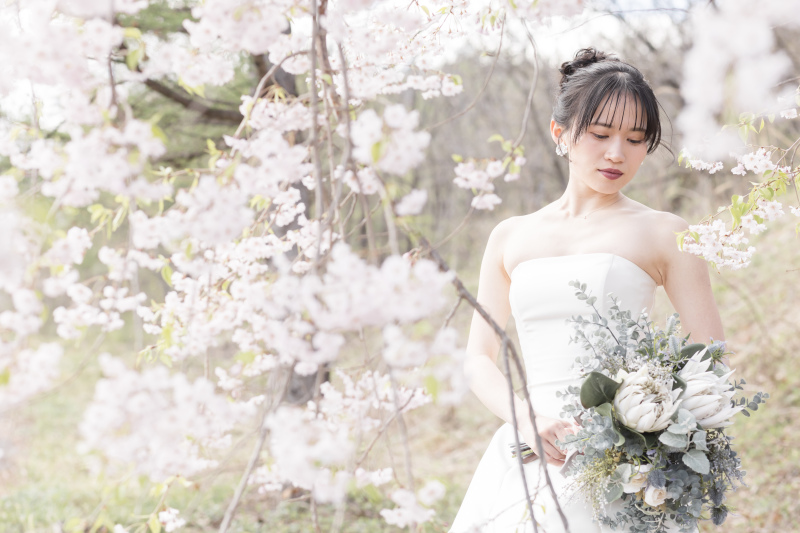 満開の桜に包まれて