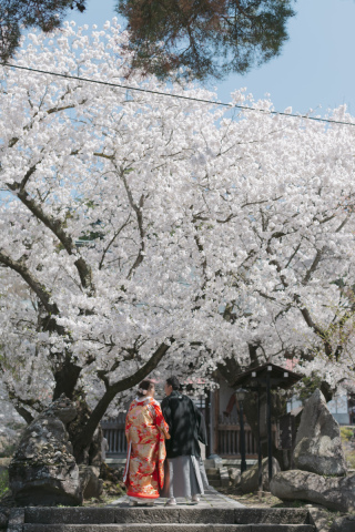 ラヴィファクトリー長野店_【和装】春・桜ロケ