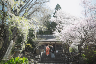 ラヴィファクトリー長野店_【和装】春・桜ロケ