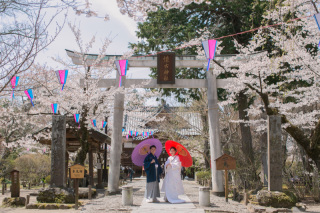 ラヴィファクトリー長野店_【和装】春・桜ロケ