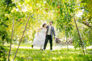 自然の彩りを美しく