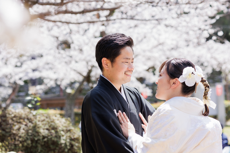 桜満開の和歌山城ロケ