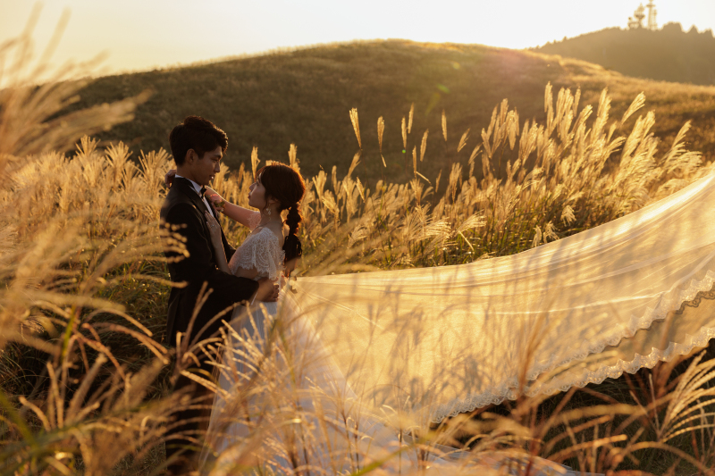 《生石高原》洋装ロケーション│黄金色に輝くススキ＆絶景が広がる火上げ岩│サンセット撮影も追加料金無し♪