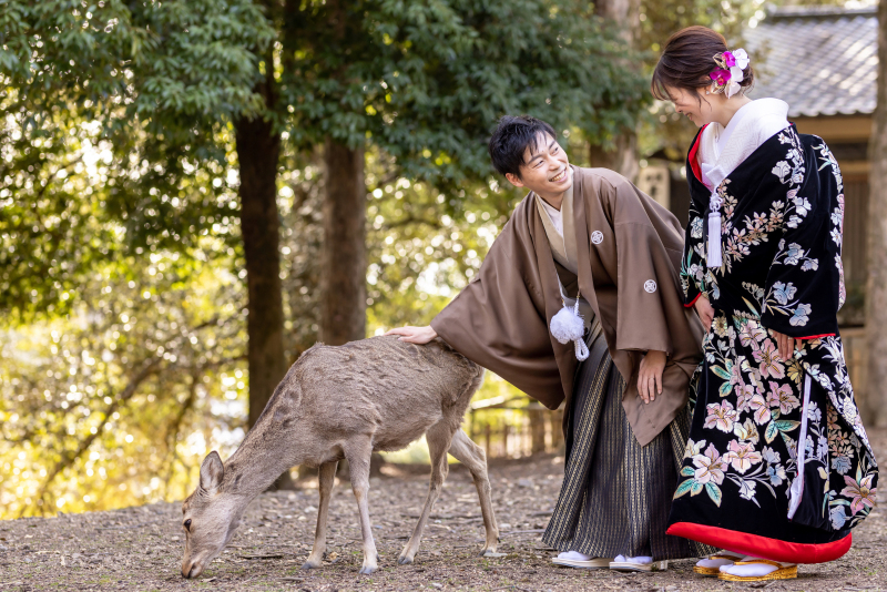 シカさんを撫でる新郎さん♪