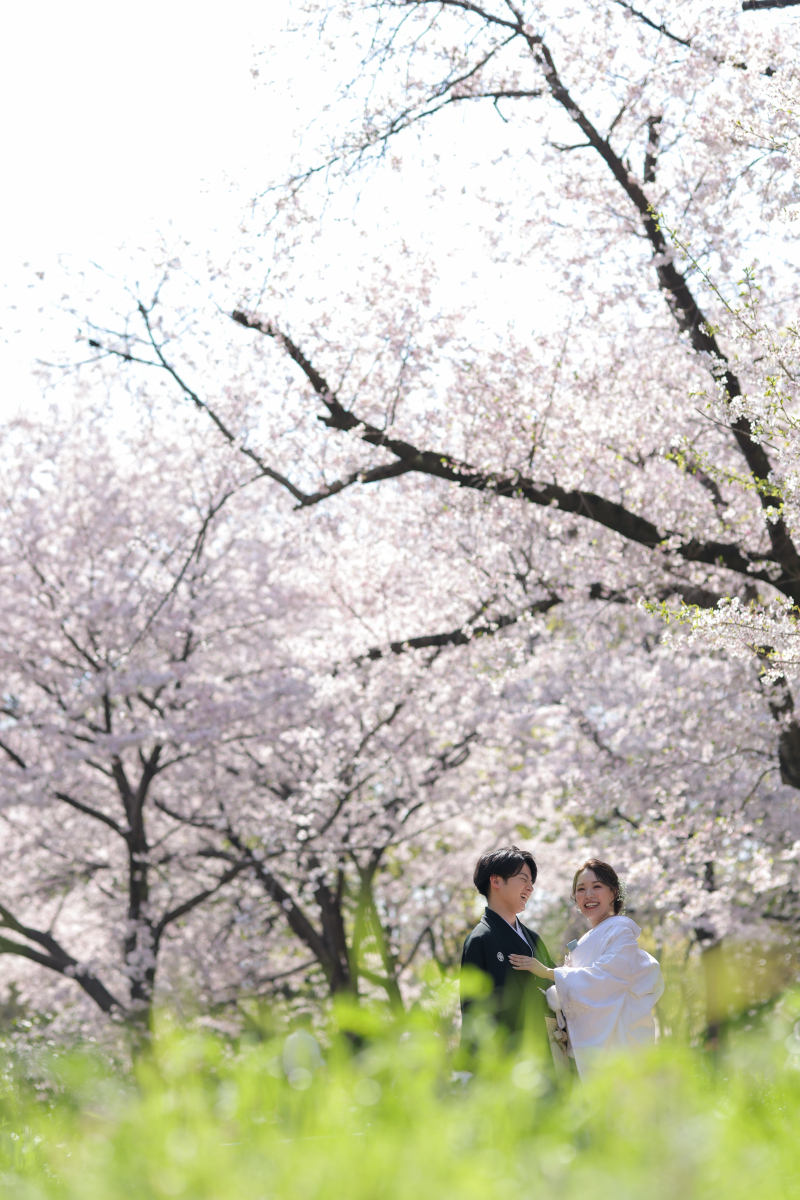 桜と緑・素敵なお二人