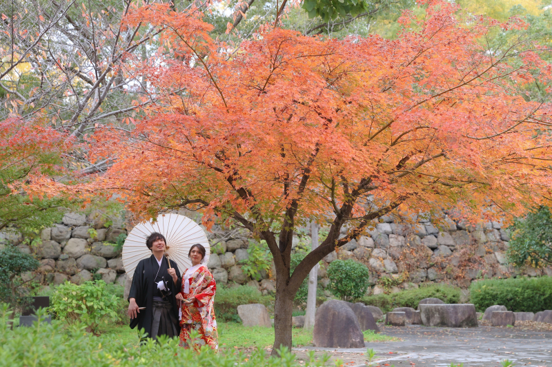 綺麗な紅葉