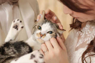 【洋装スタジオプラン】大切な家族と特別な日を