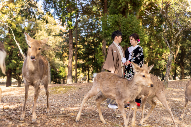 シカさん集合！！