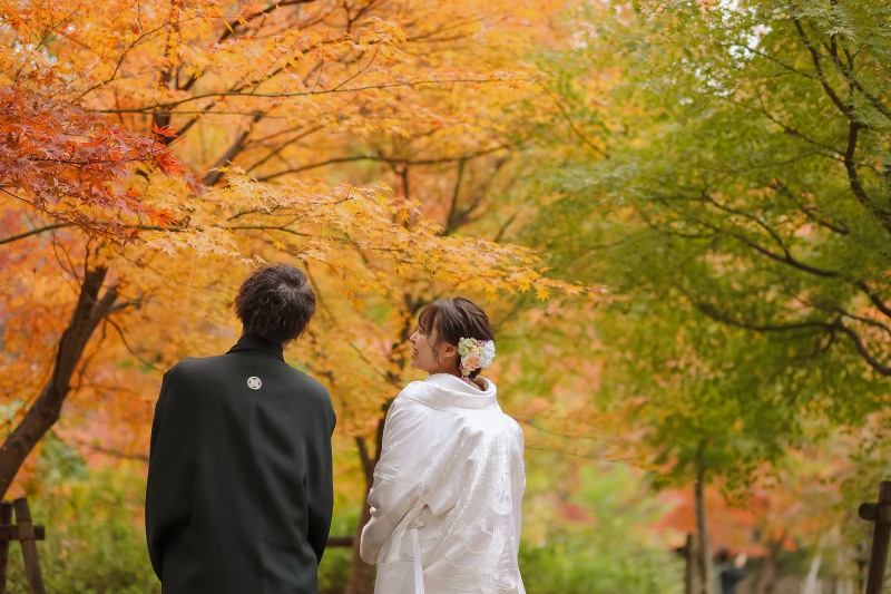 赤黄緑に囲まれて