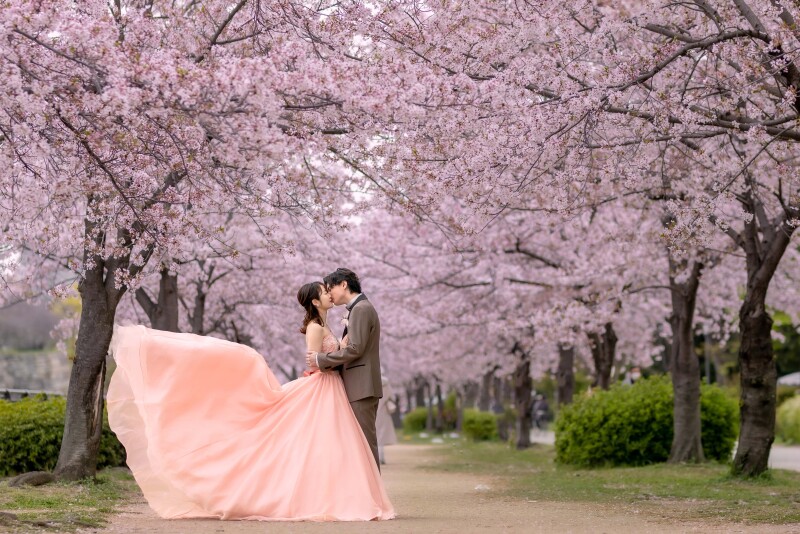 桜の中とってもロマンティックなお写真