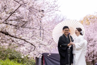 【和装ロケーションプラン】満開の桜と春らしいお写真を♪