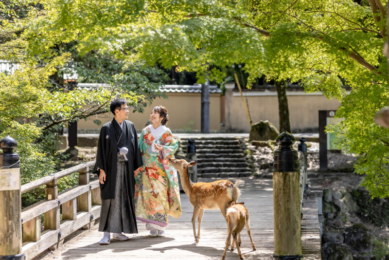 鹿親子と一緒に