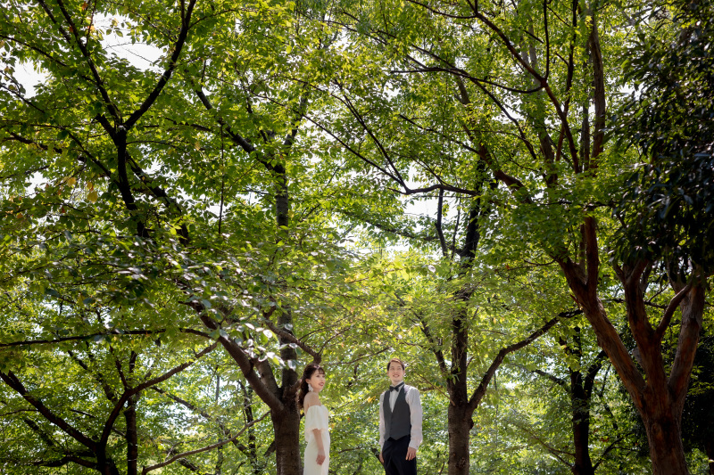 木漏れ日の中で撮影した一枚です。