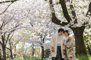 【和装スタジオ和装ロケーションプラン】桜とお二人