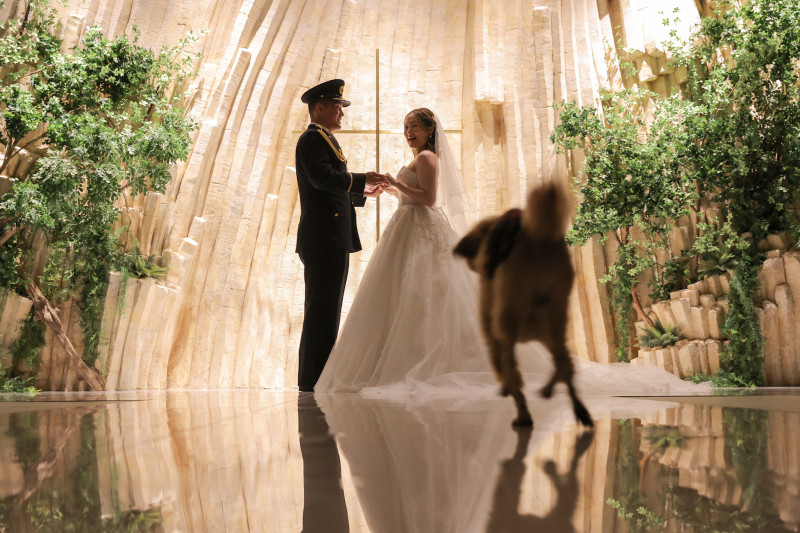 エレガント with ワンちゃん