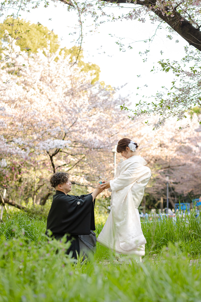 満開の桜の下で