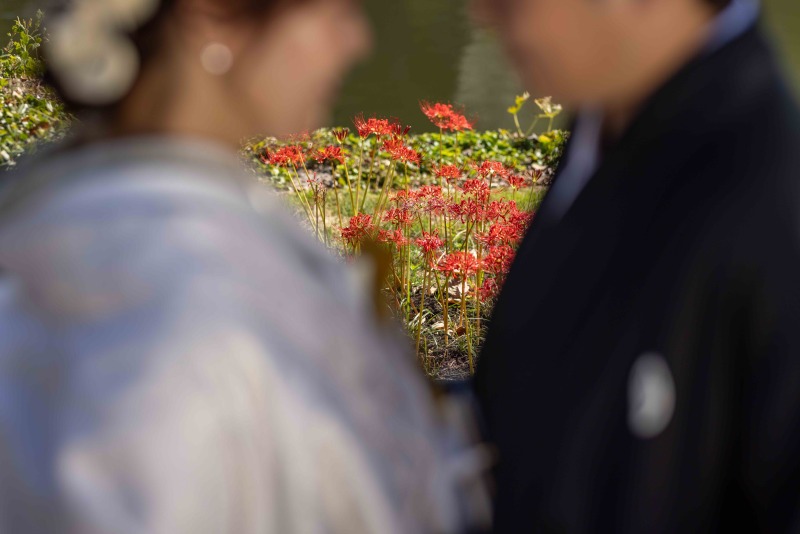 季節を感じます