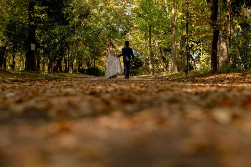 落ち葉の絨毯も撮影のアクセント