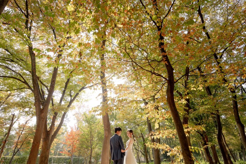 朝の柔らかな光の中で