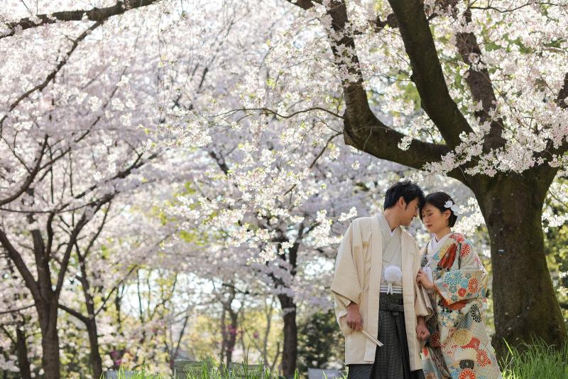 桜並木、感じる春。