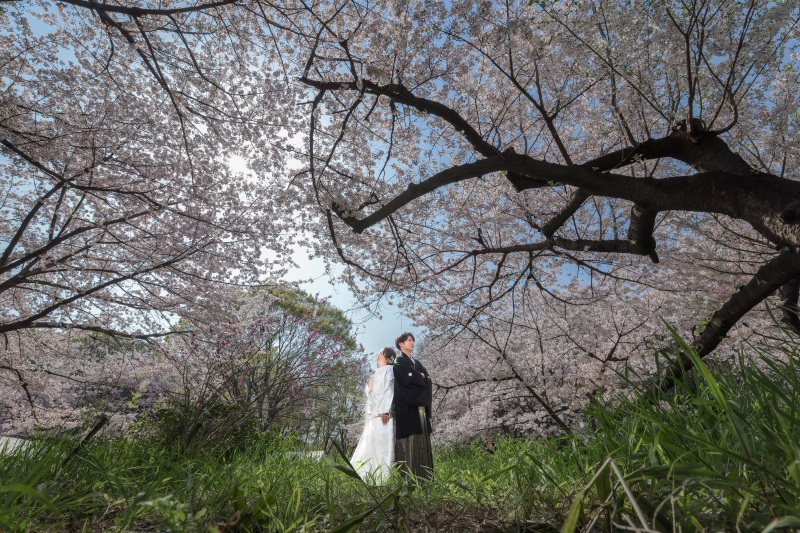桜と青空とお二人と