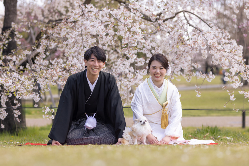桜の下でお座りショット