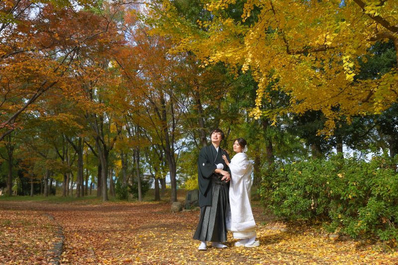 一面の紅葉で