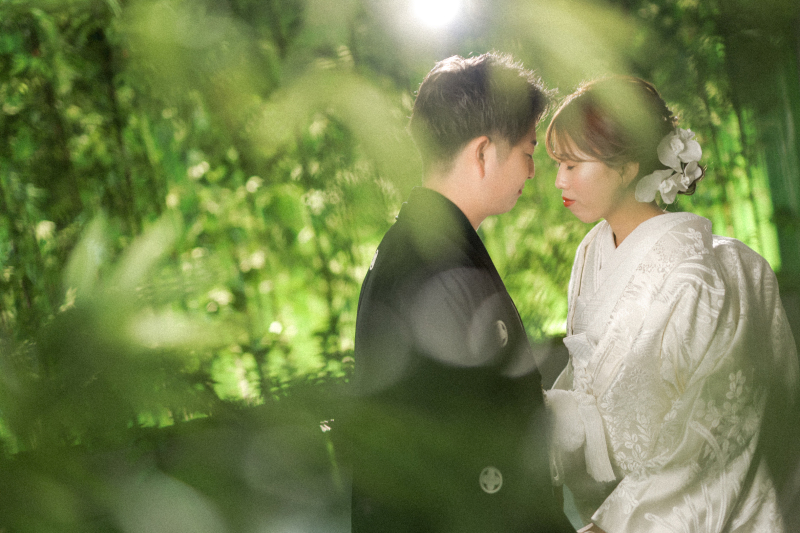 柔らかい光に照らされて