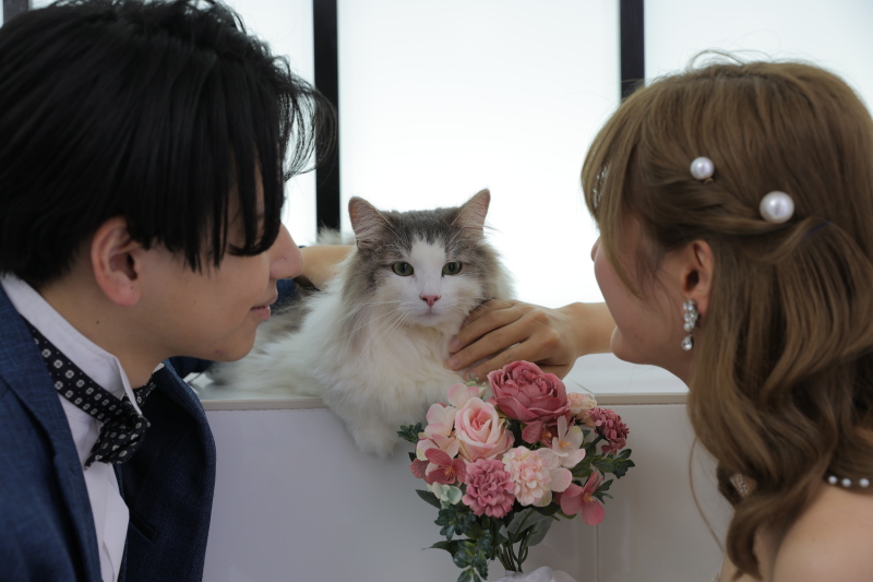 主役は誰だ〜！？