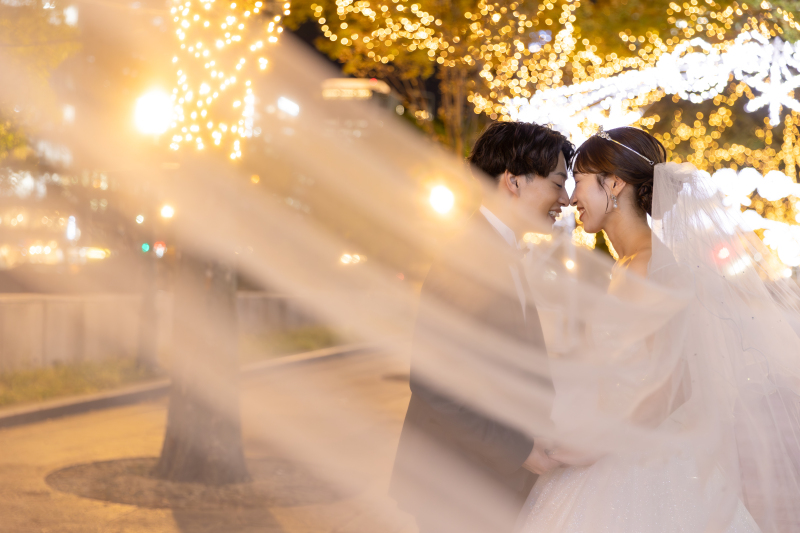 イルミネーションとベール