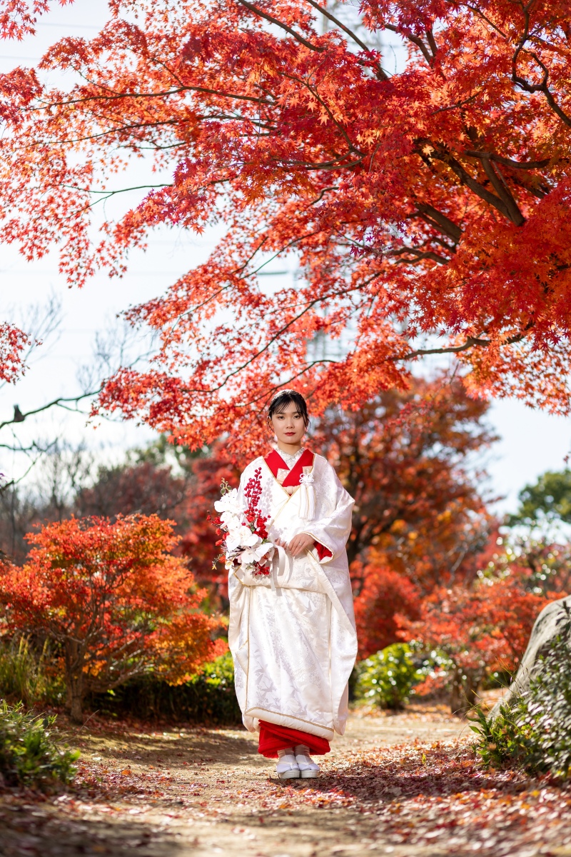 赤紅葉とソロショット