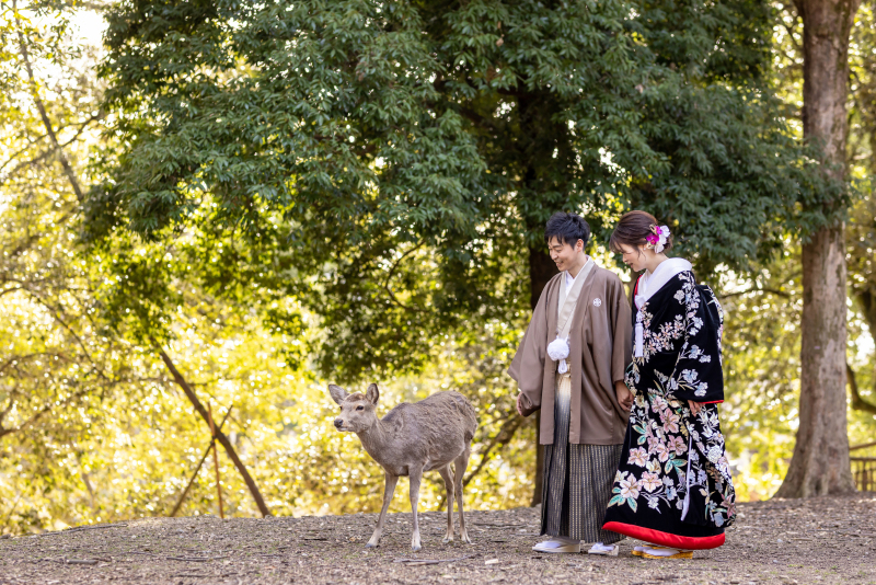 シカさんと３ショット
