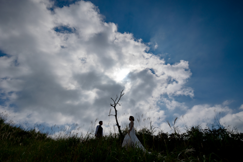 雰囲気がガラッと変わる一枚