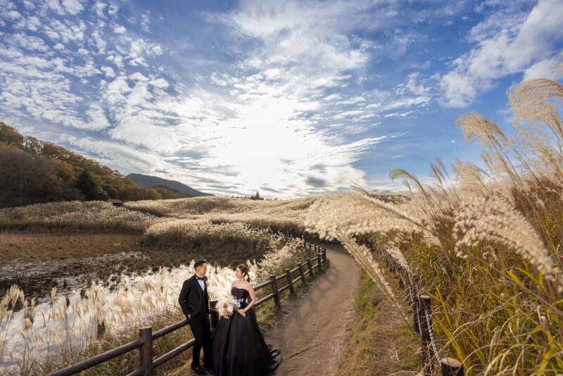 studio clori.曽爾高原デビュー