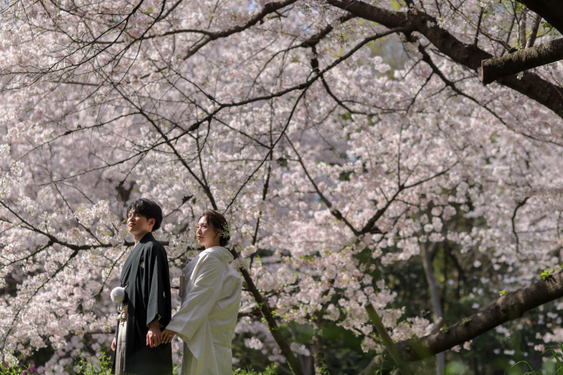 桜並木。凛々しいお二人