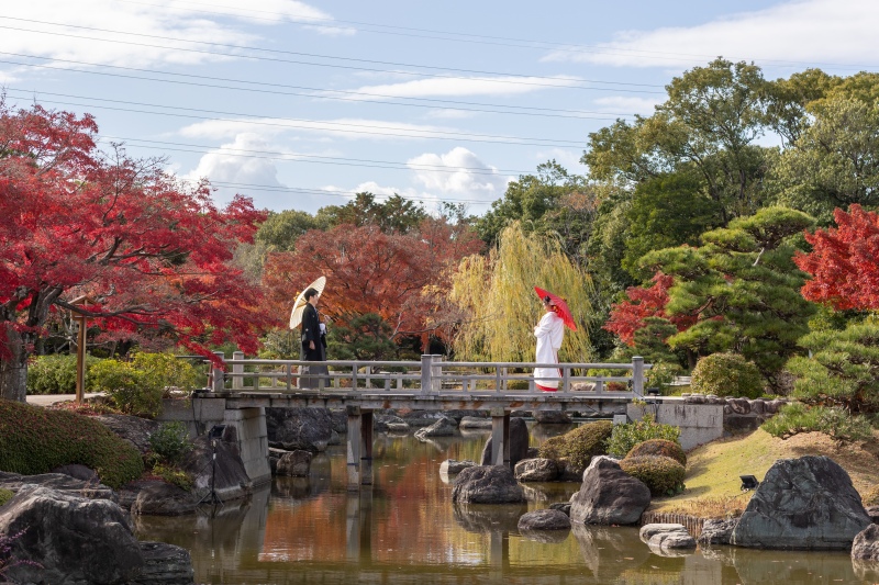 紅葉➕空の全体ショット!