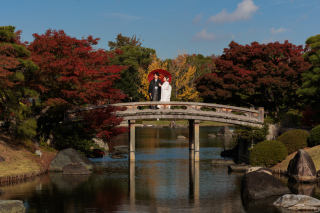 【和装ロケーションプラン】赤と黄色に包まれて
