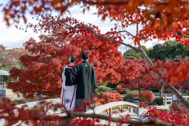 紅葉✖️後ろ姿も!
