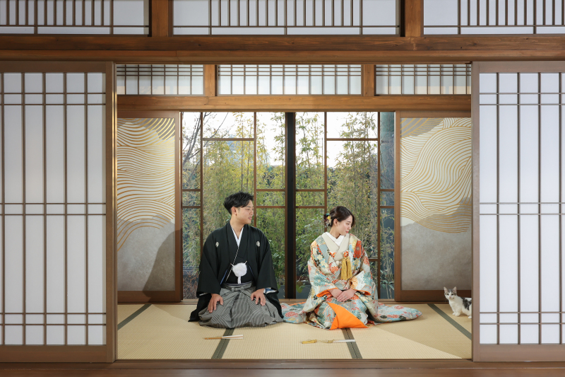 自由な猫ちゃんにほっこり!