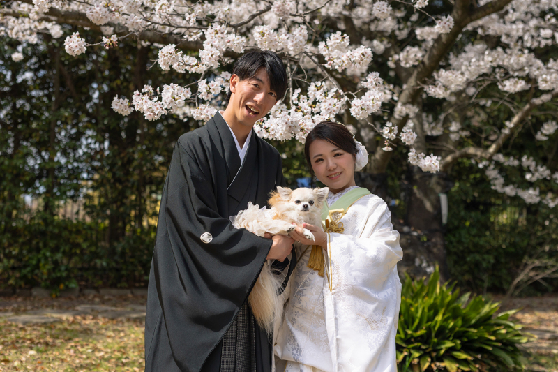 ワンちゃんと一緒に