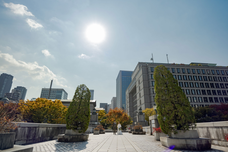 太陽降り注ぐ下で