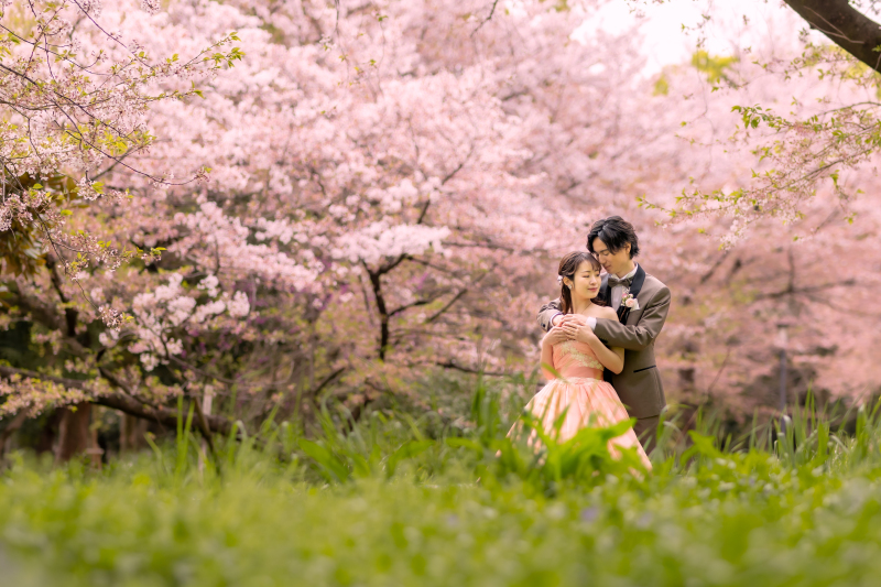 公園の中に出向いて撮影した一枚