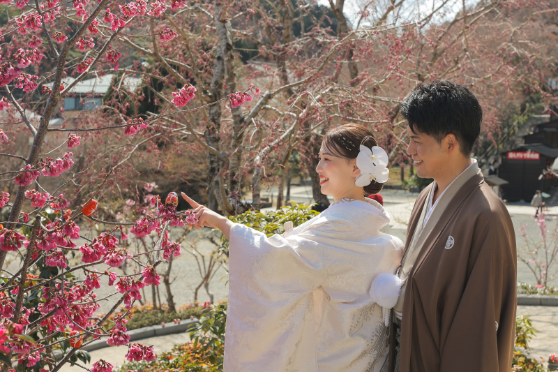 ここにもダルマ!