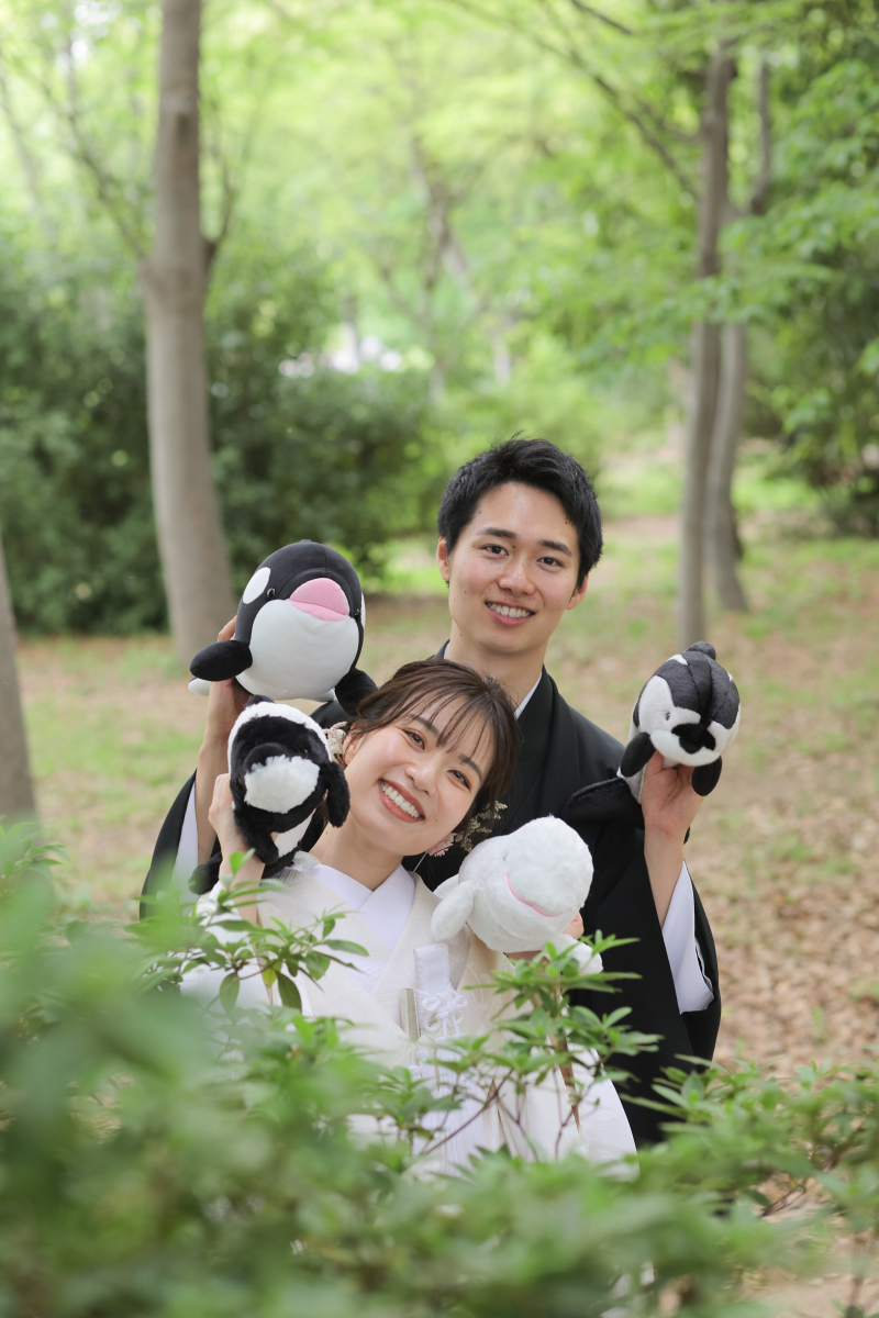 ひょっこり！