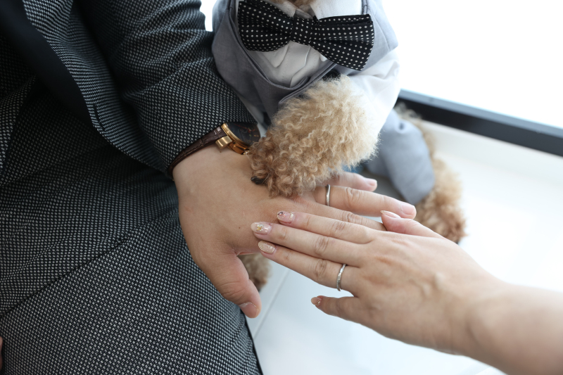 最後はワンちゃんと