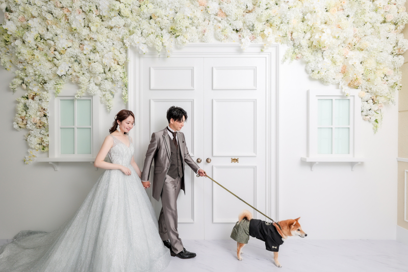 いつもの散歩中の姿を残した素敵な一枚